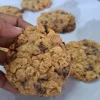 Oatmeal Chocolate Chip Cookies     (8 Pack 220g)