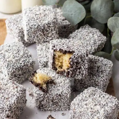 Lamingtons-500×500